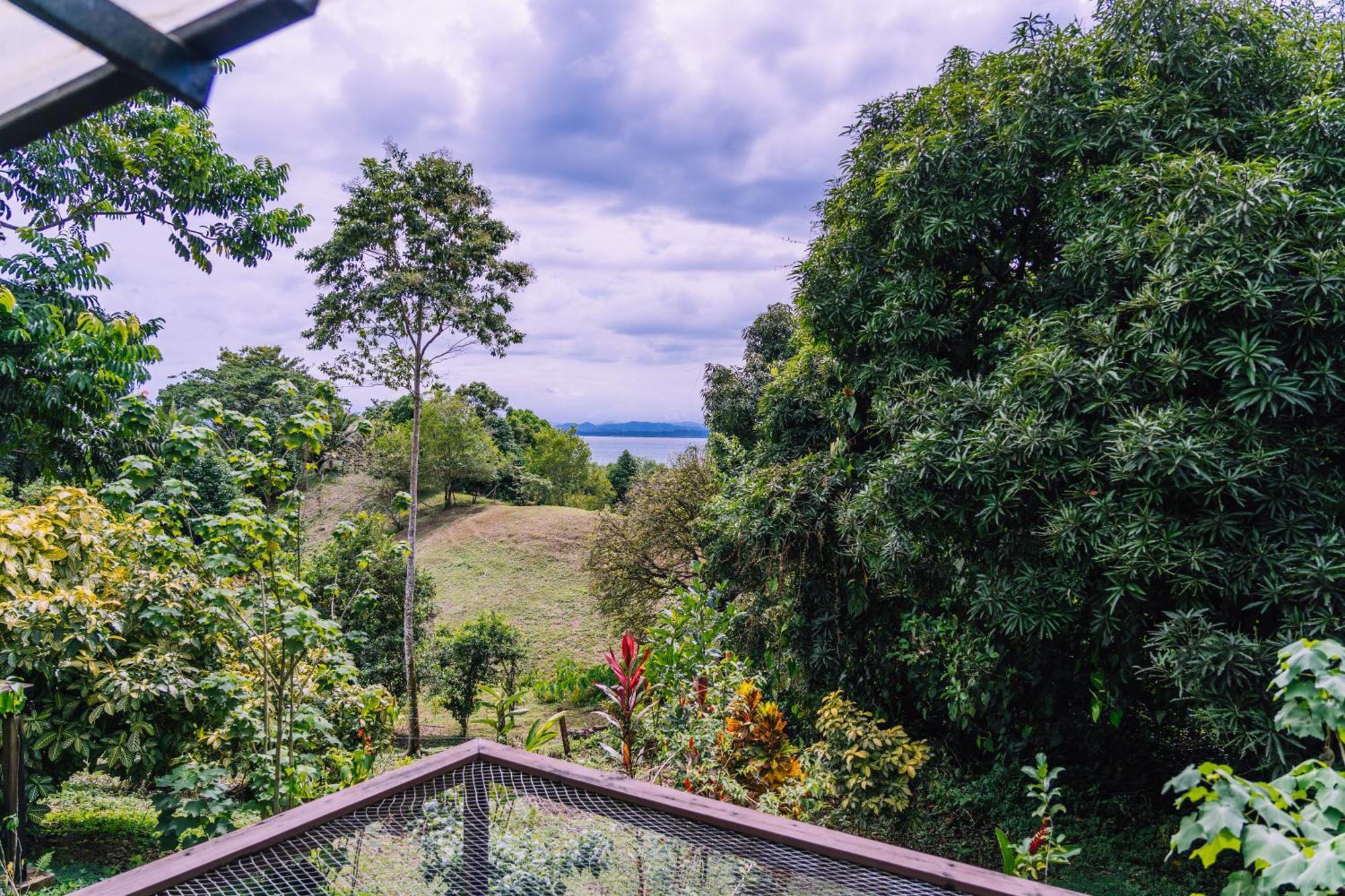 Bambuda Lodge Solarte Quarto foto